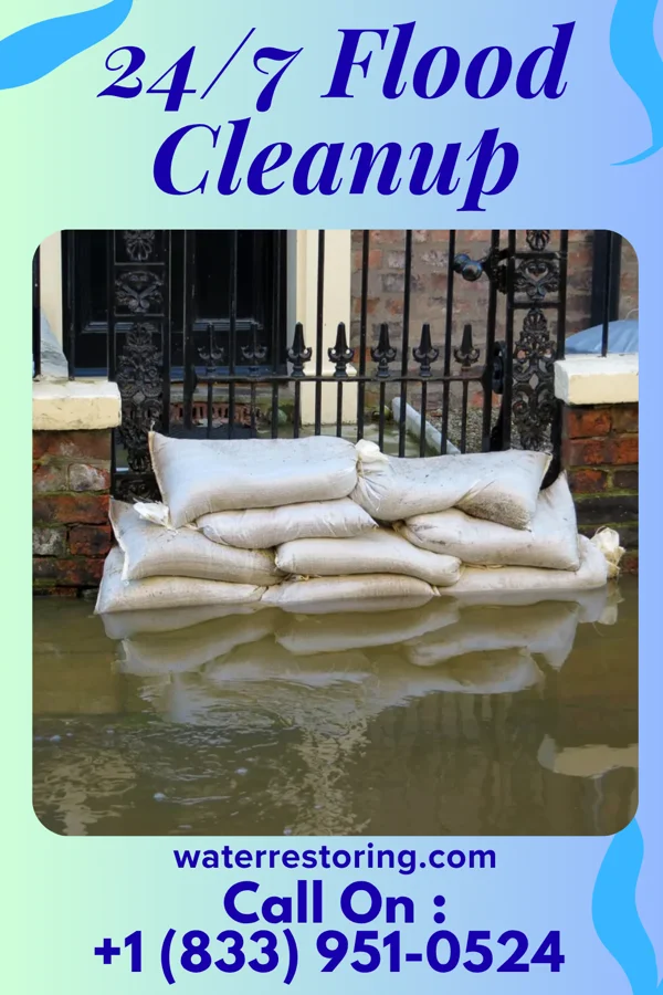 24/7 Flood Cleanup in Greenvale, TN