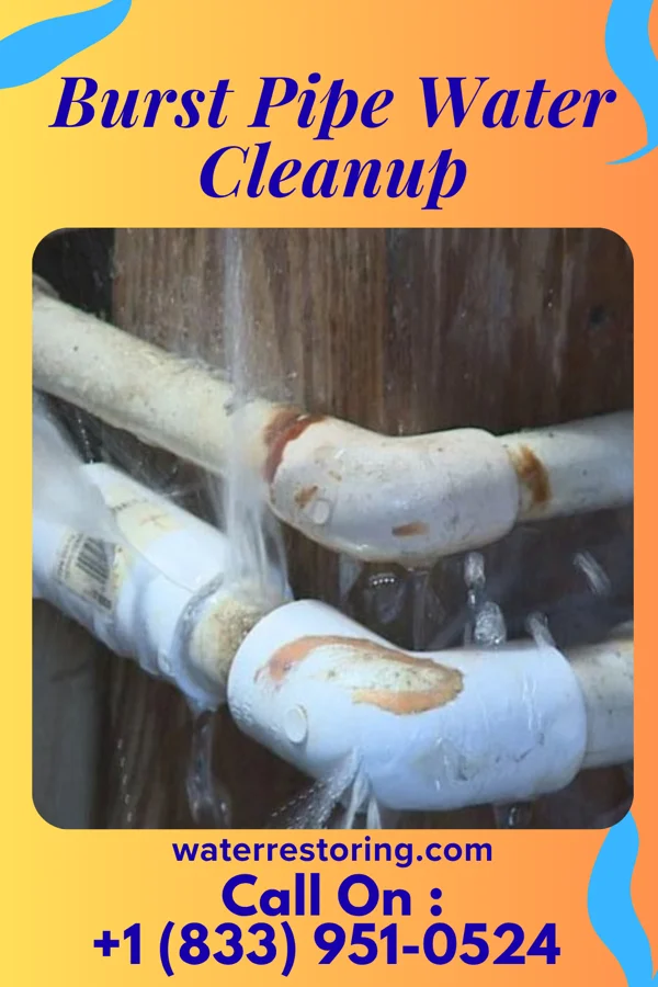 Burst Pipe Water Cleanup in Greenvale, TN