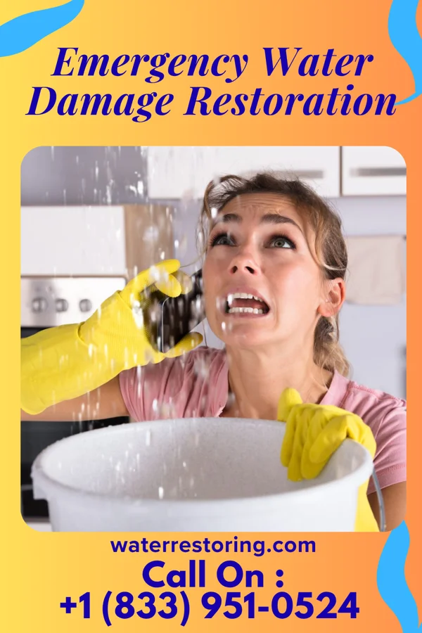 Emergency Water Damage Restoration in Greenvale, TN
