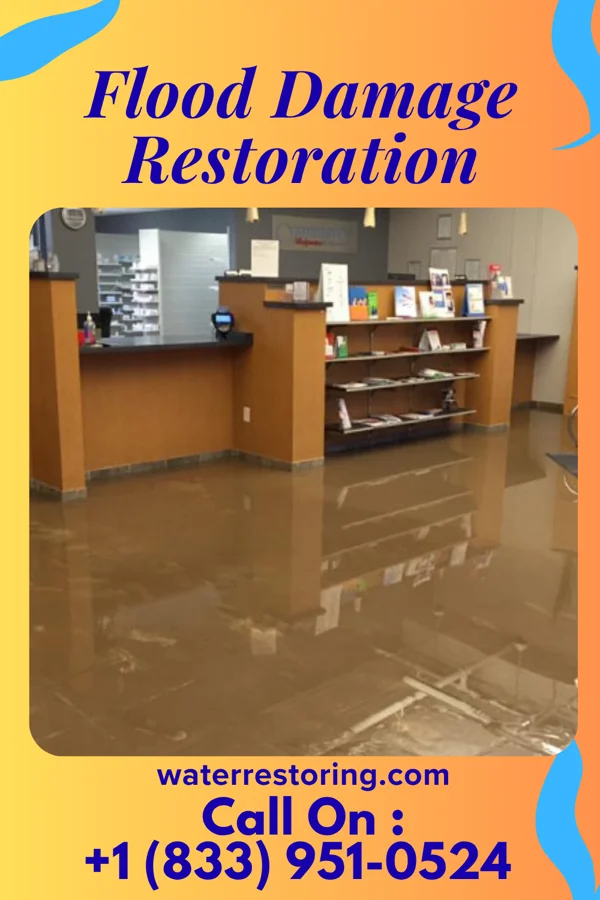 Flood Damage Restoration in Greenvale, TN