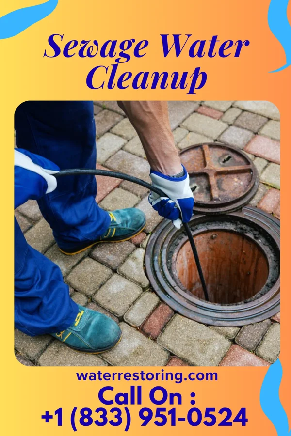 Sewage Water Cleanup in Greenvale, TN