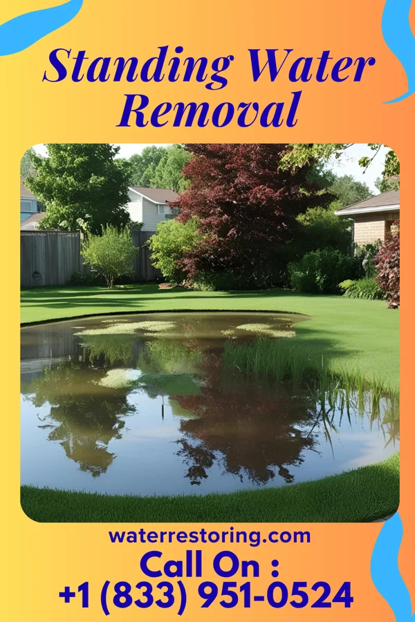 Standing Water Removal in Greenvale, TN